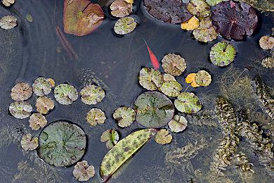 2023Epic神秘游戏第四款：《收获日2》免费赠送！